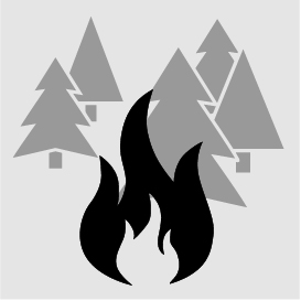 Rosenbauer_HEROS-H10_Icon_Waldbrand.jpg
